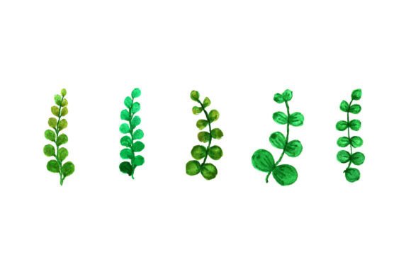 Modern Watercolor Leaf Set Design