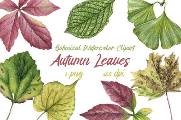 Watercolor Clipart Autumn Leaves Guide